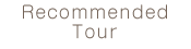 recommended tour